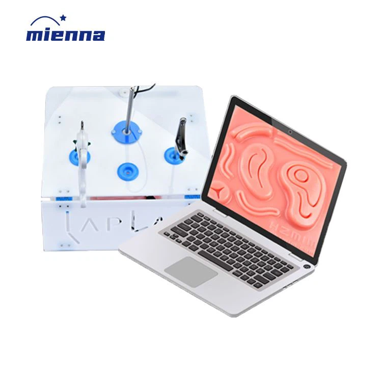 กล่องฝึกการส่องกล้องทางการแพทย์ 2024 เครื่องจำลองการส่องกล้อง