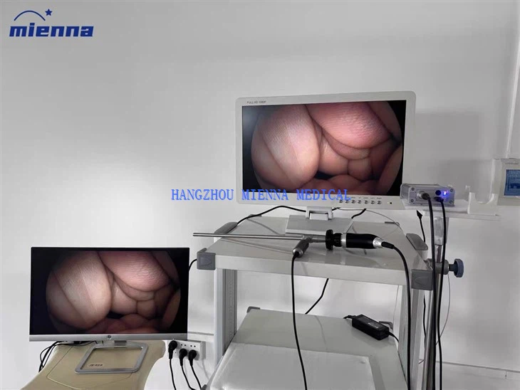 Veterinary HD Endoscope Camera Sony Sensor HDMI Direct Connection Portable Endoscopy Camera Set suppliers